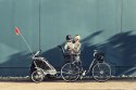 Fotelik rowerowy - THULE RideAlong - ciemnoszary